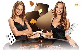 55hbet